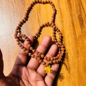 Rudraksha Mala 108+1 Beads