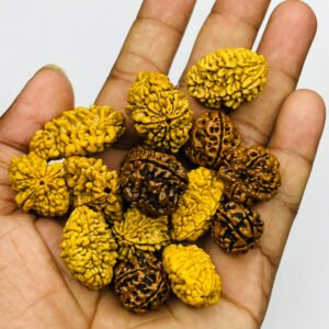 Rudraksha Mala