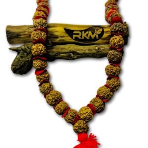 Close up view of 5 Face Rudraksh Mala natural rudraksha beads