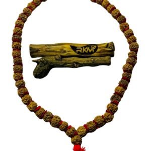 5 Face Rudraksh Mala full view display on clean background