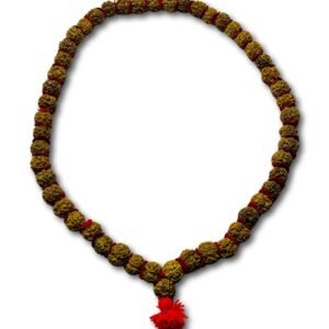 5 Face Rudraksh Mala made from original rudraksha beads close view