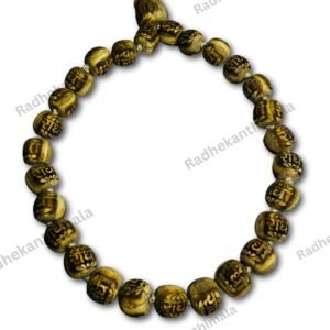 Devotee wearing Big Beads Radha Tulsi Mala around neck