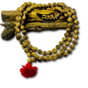 Devotee chanting Ram naam mantra with tulsi mala during daily Hindu prayer